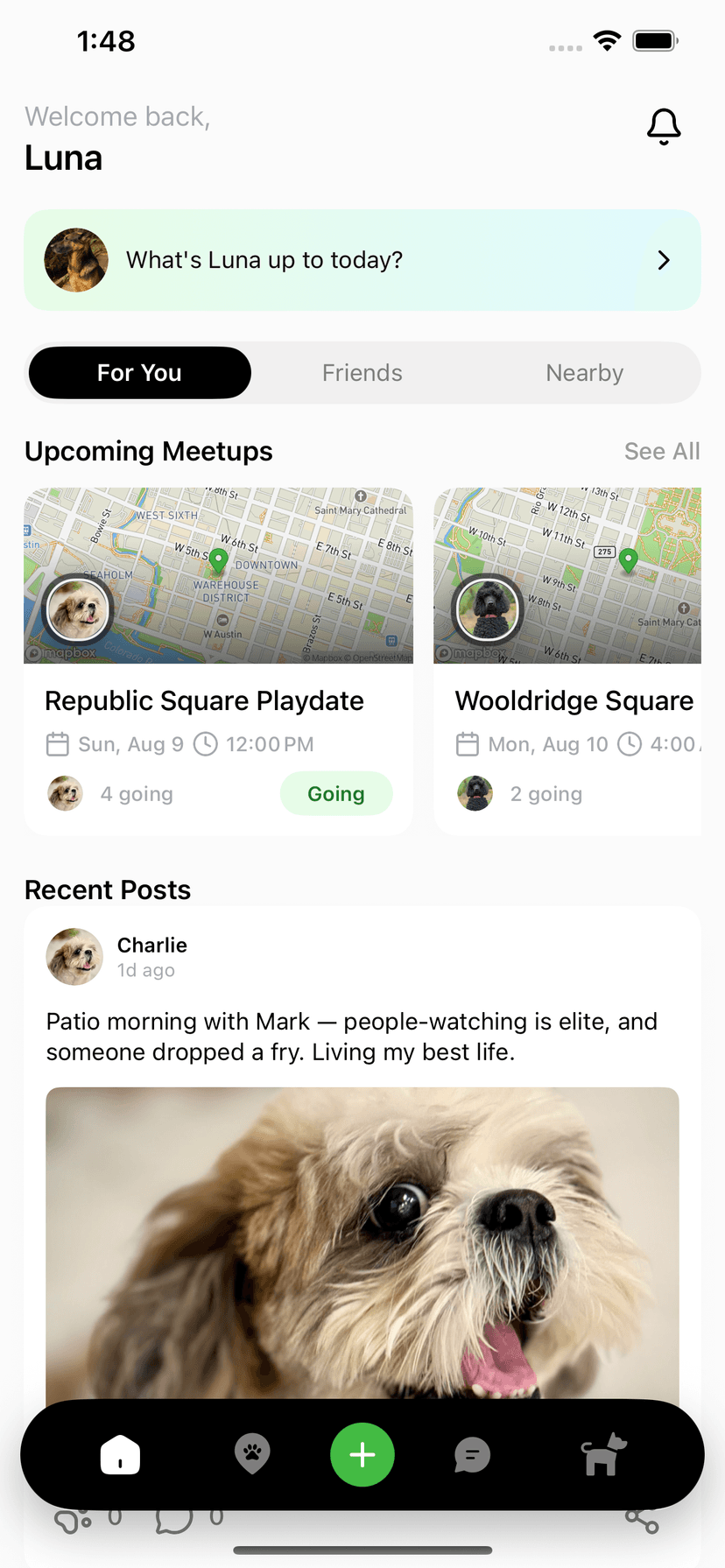 Paw Social home feed with upcoming meetups and recent posts